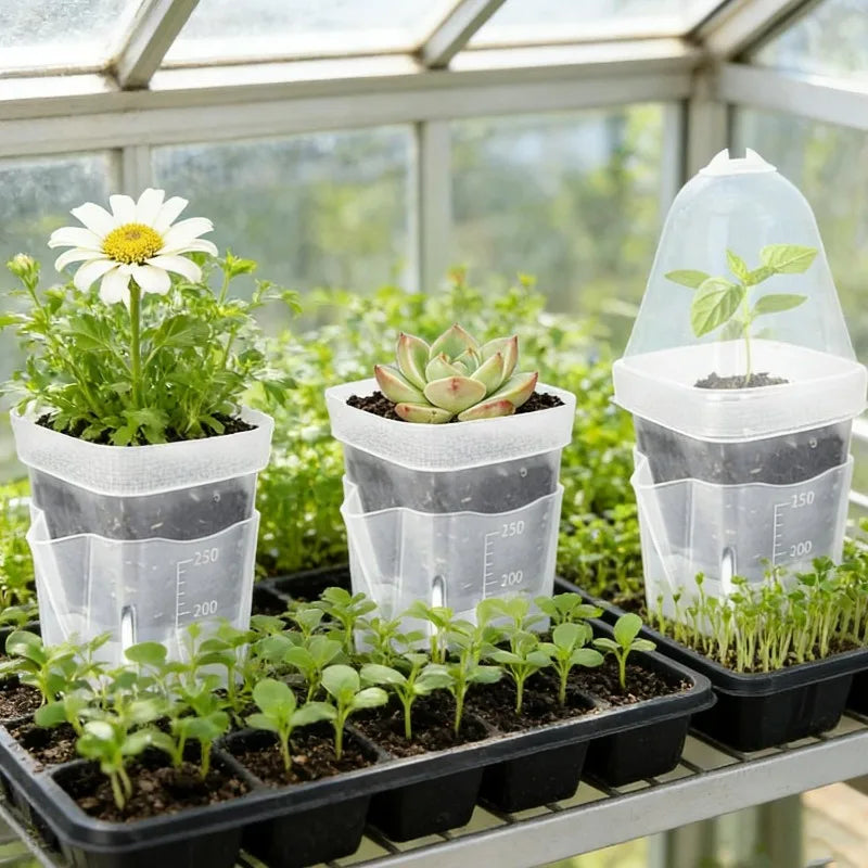 Self-Watering Seedling Box, Automatic Watering Nursery Pot, Round or Square Plastic Planter Insert, 1, 2 or 3 Pack - product view 5