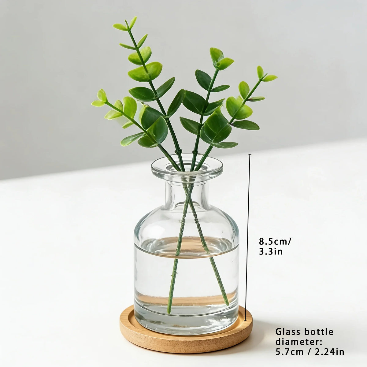 Clear Glass Hydroponic Vase with Bamboo Base, Mini Desktop Planter for Small Plants, Cylindrical-85 Design - product view 1