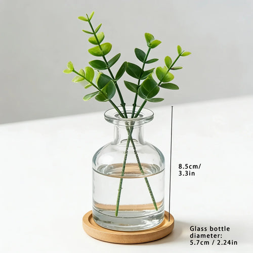 Clear Glass Hydroponic Vase with Bamboo Base, Mini Desktop Planter for Small Plants, Cylindrical-85 Design - product view 1