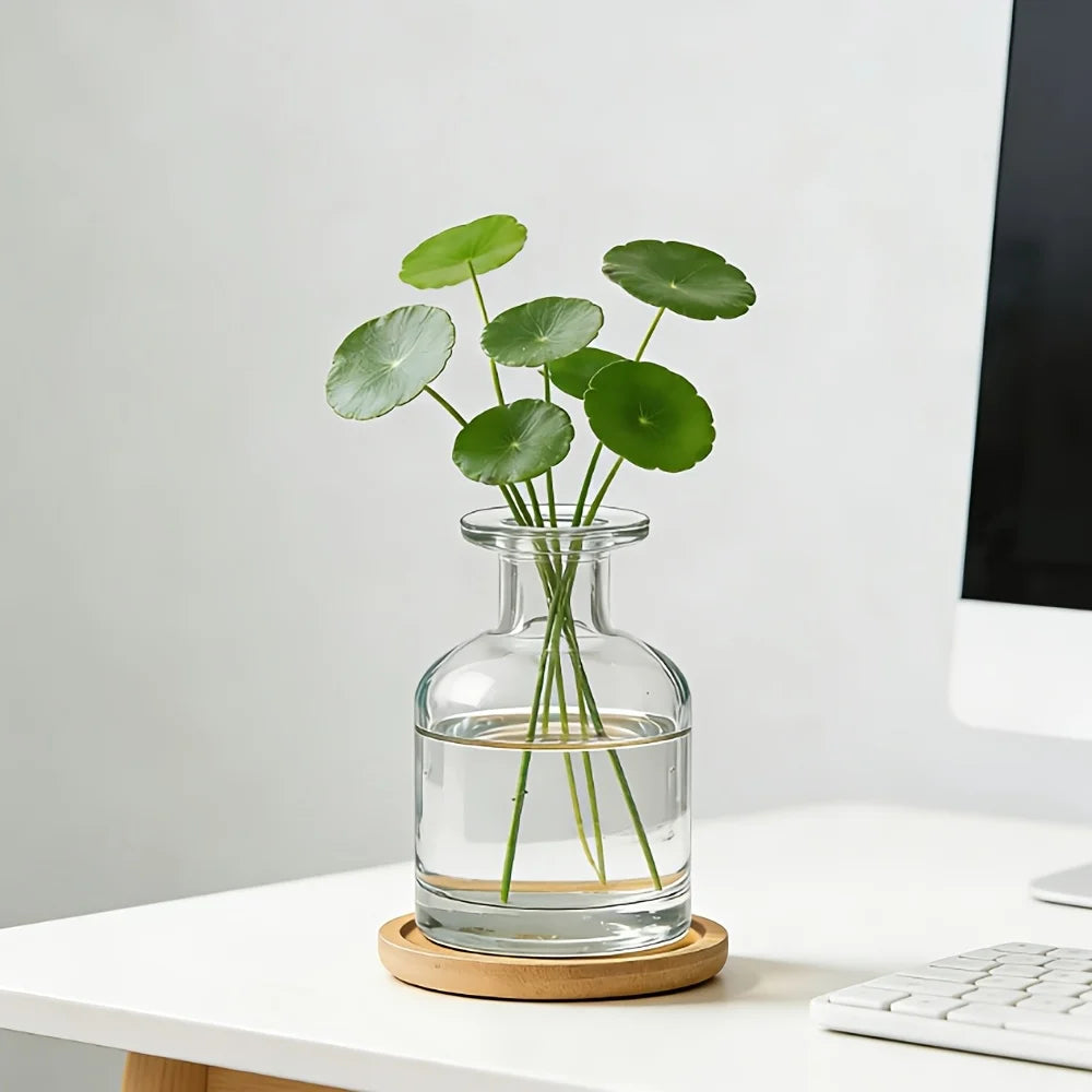 glass vase - product view 6