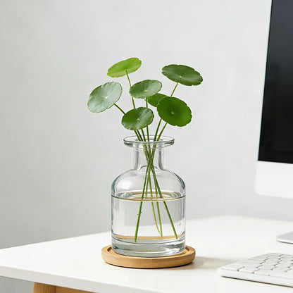 Clear Glass Hydroponic Vase with Bamboo Base, Mini Desktop Planter for Small Plants, Cylindrical-85 Design - product view 6