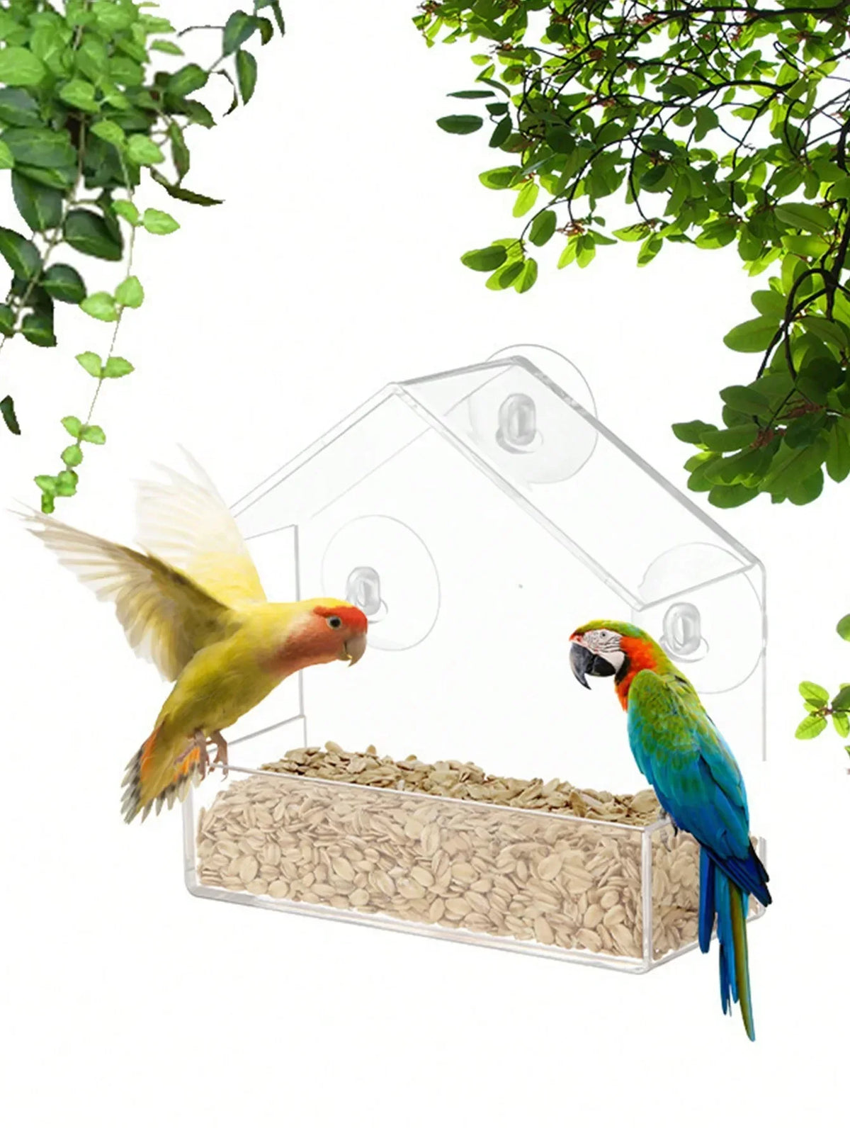 Window-Mount Bird Feeder, Clear Plastic Hanging Garden Feeder with Suction Cup for Backyard Bird Watching - product view 3