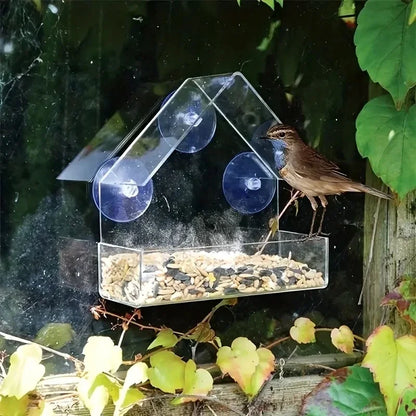 Window-Mount Bird Feeder, Clear Plastic Hanging Garden Feeder with Suction Cup for Backyard Bird Watching - product view 5