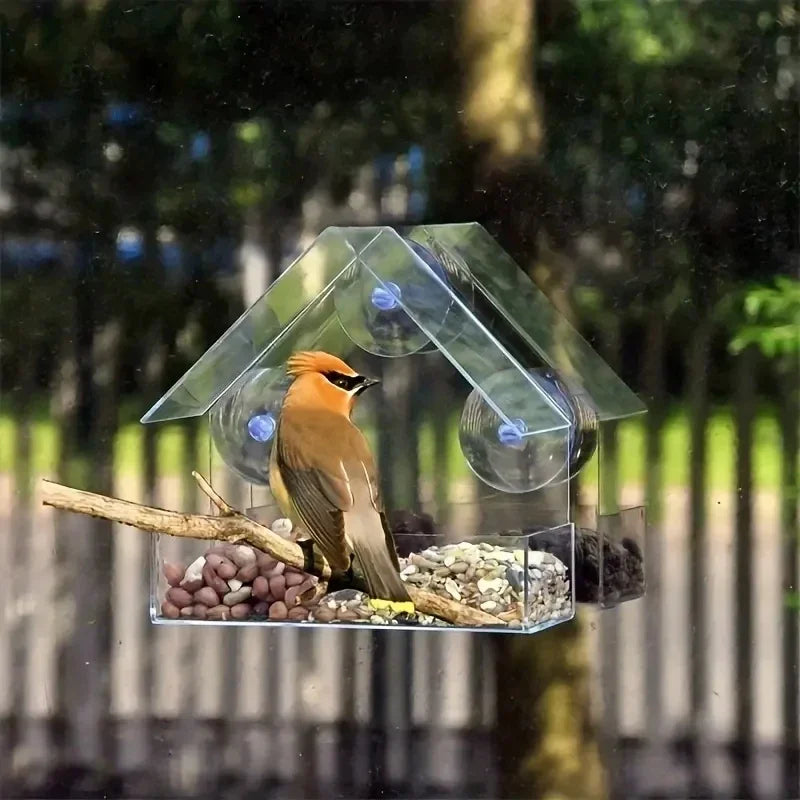 bird feeder window mount - product view 6