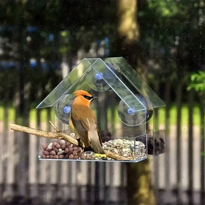 Window-Mount Bird Feeder, Clear Plastic Hanging Garden Feeder with Suction Cup for Backyard Bird Watching - product view 6