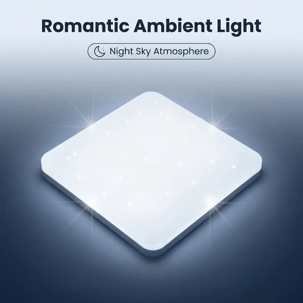 ceiling light - product view 5