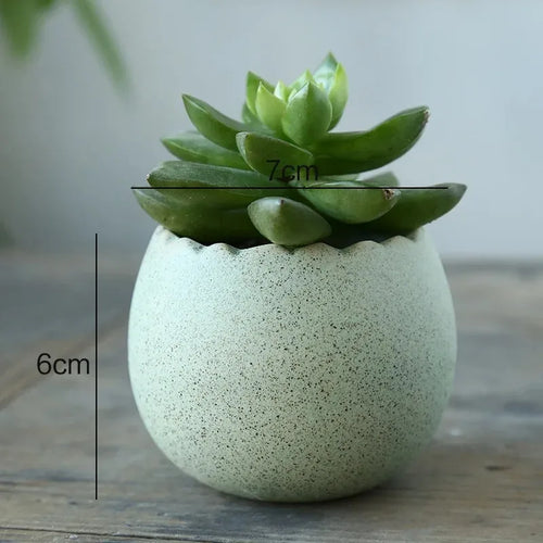 Dragon Egg-Shaped Pottery Planter, Cartoon-Style Decorative Flowerpot for Home and Office Display, Six Design Options - product view 1