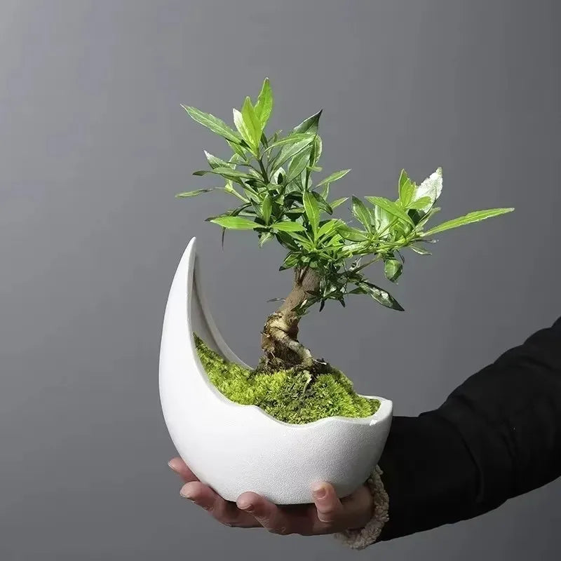 ceramic planter - product view 1