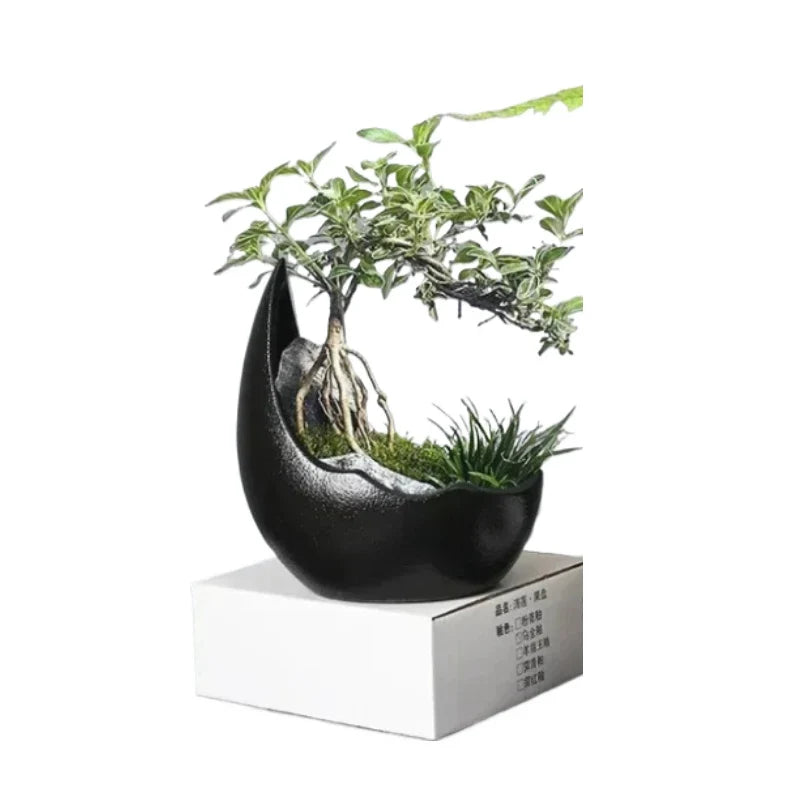 Porcelain Crescent Moon Planter, Rhino Horn Shape with Weighted Base for Succulents, Cacti, Bonsai and Small Plants - product view 3