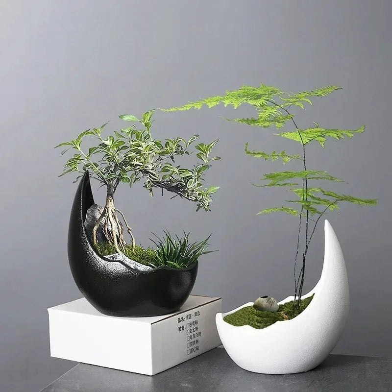 Porcelain Crescent Moon Planter, Rhino Horn Shape with Weighted Base for Succulents, Cacti, Bonsai and Small Plants - product view 5