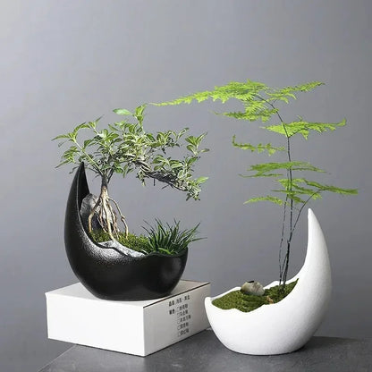 Porcelain Crescent Moon Planter, Rhino Horn Shape with Weighted Base for Succulents, Cacti, Bonsai and Small Plants - product view 5