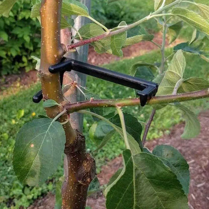Plant Support Clips, Plastic Branch Benders for Vines and Bonsai, 90 x 40 x 10 mm, 10-Piece Set, Black - product view 2