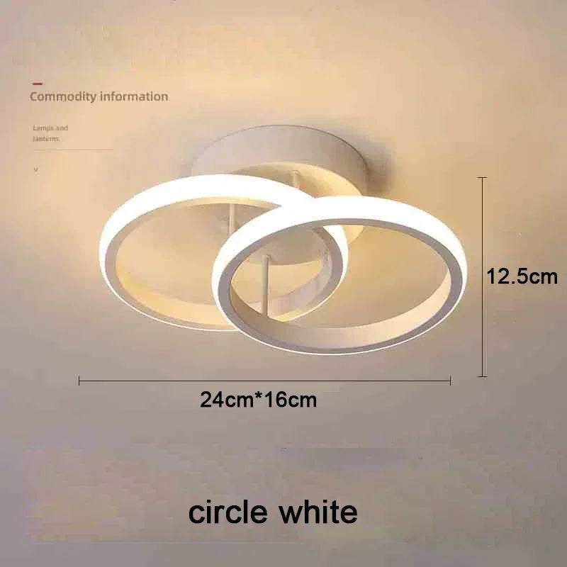 ceiling light - product view 3