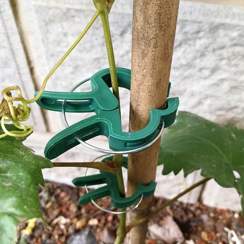 Green Plant Support Clips, 40-Piece Plastic Ring Clips in S Size for Fastening Stems, Vines and Garden Plants - product view 3