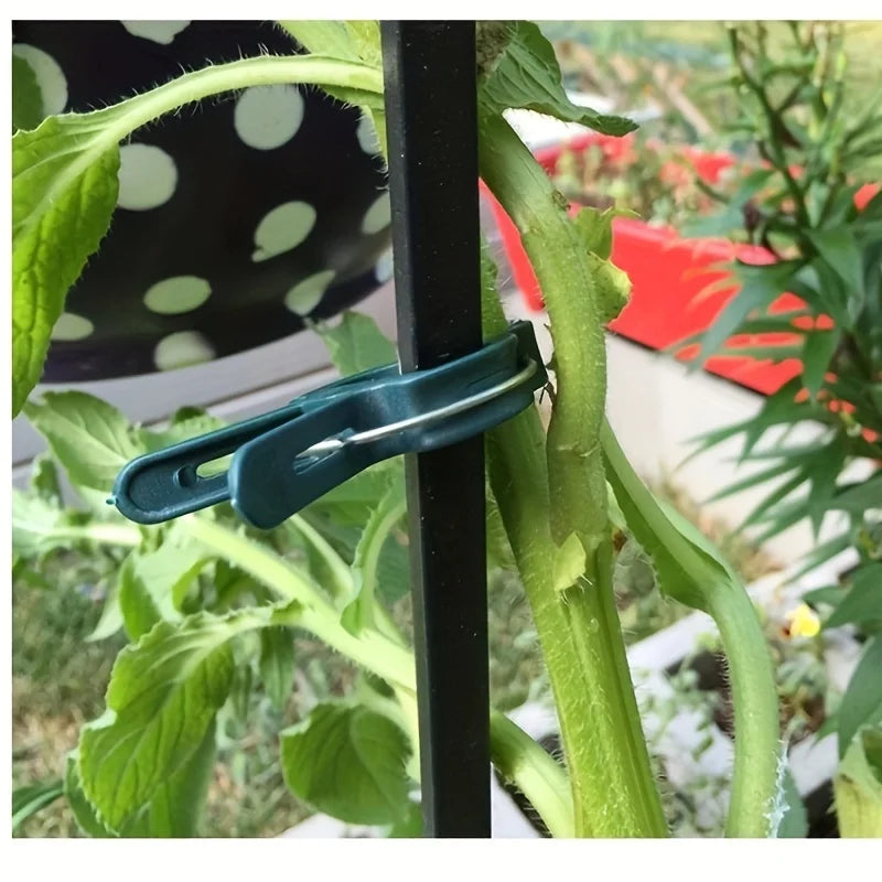 plant support clips - product view 4