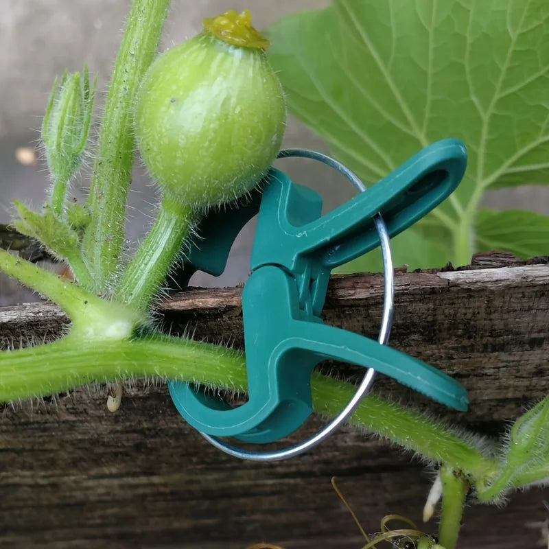 Green Plant Support Clips, 40-Piece Plastic Ring Clips in S Size for Fastening Stems, Vines and Garden Plants - product view 5