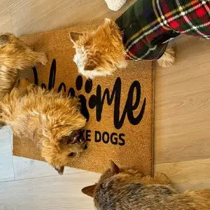 Personalized Printed Anti-Slip Doormat, 40 x 60 cm Modern Door Mat for Hallway, Outdoor Entryway and Pet-Friendly Homes - product view 5