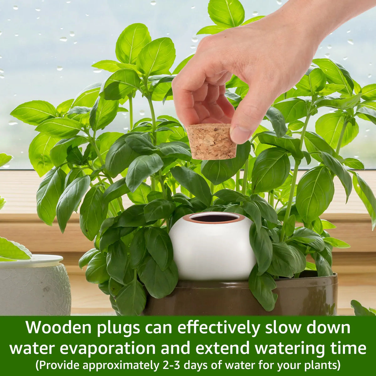 plant watering globes - product view 5