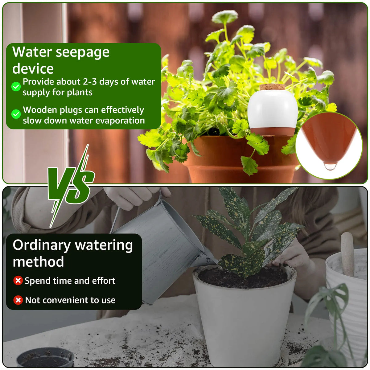plant watering globes - product view 6