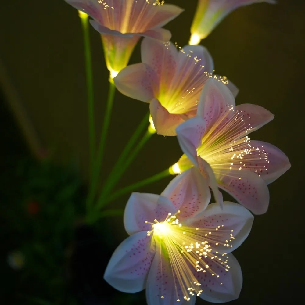 Solar Lily Flower Garden Stake Lights, Warm White LED Pathway Decor, 6-Head Design, Push-Button Control for Yard - product view 1
