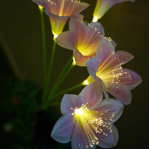 Solar Lily Flower Garden Stake Lights, Warm White LED Pathway Decor, 6-Head Design, Push-Button Control for Yard - product view 1