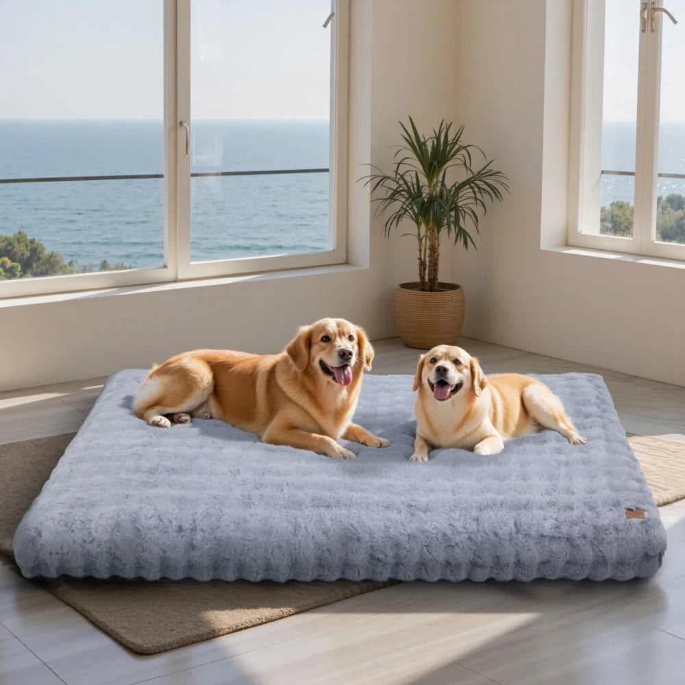 pet bed - product view 5