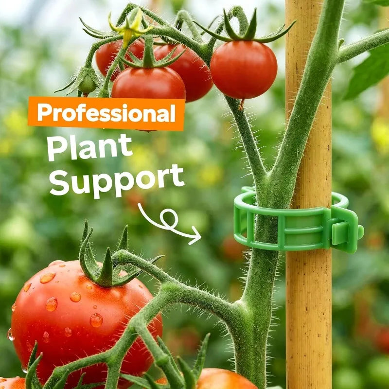 Plant Support Clips, 2.5 cm Plastic Vine and Tomato Training Clips, White or Green, 50–300 Piece Garden Sets - product view 4