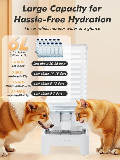 6L Gravity-Fed Dog Water Bowl, Elevated Automatic Dispenser, Stainless Steel Tray, No Electricity, Transparent Reservoir for Cats and Dogs - product view 3
