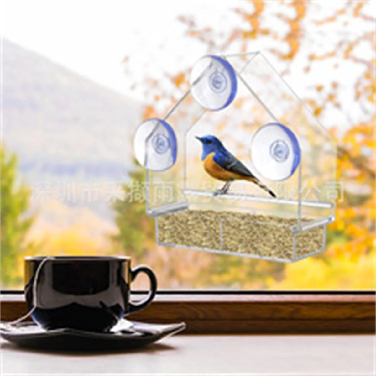 Window Bird Feeder, Clear Acrylic Hanging Feeder with Strong Suction Cup Mount for Garden, Yard and Patio - product view 5