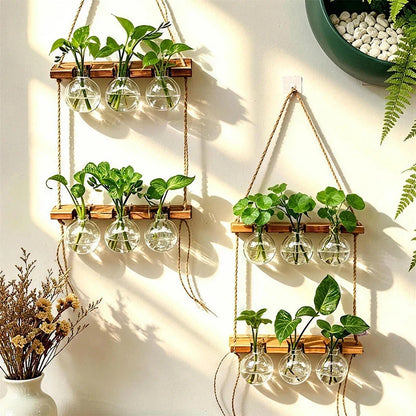 Wall-Mounted Hydroponic Vase, Boho Rope Hanging Wood and ABS Bulb Planter for Pothos, Lucky Bamboo and Flowers - product view 3