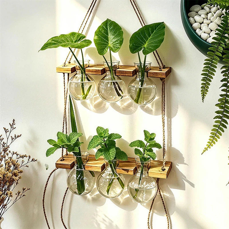 Wall-Mounted Hydroponic Vase, Boho Rope Hanging Wood and ABS Bulb Planter for Pothos, Lucky Bamboo and Flowers - product view 5