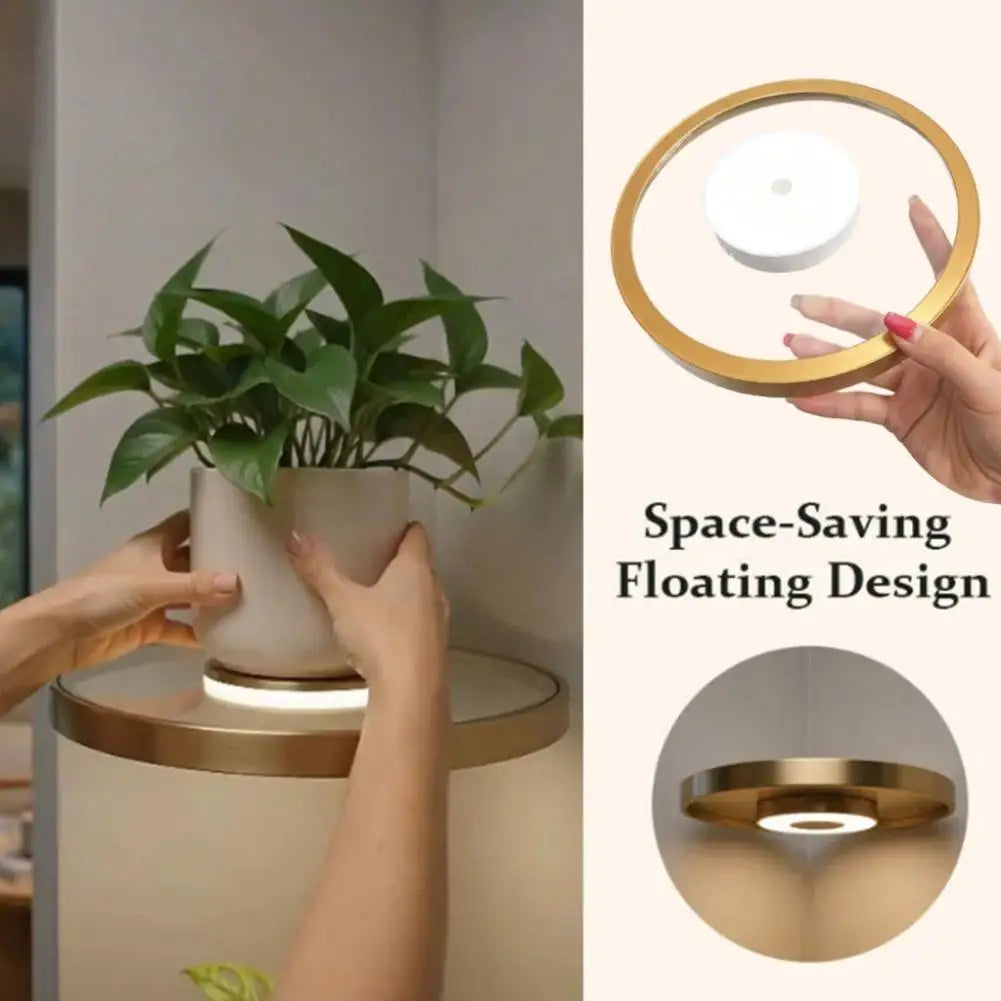 LED Floating Wall Shelf, PET Display Rack with Integrated Downlight, 20 cm Base for Small Collectibles and Plants - product view 3