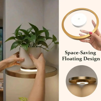 LED Floating Wall Shelf, PET Display Rack with Integrated Downlight, 20 cm Base for Small Collectibles and Plants - product view 3
