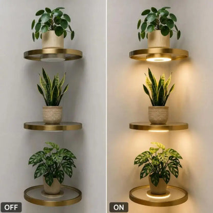 LED Floating Wall Shelf, PET Display Rack with Integrated Downlight, 20 cm Base for Small Collectibles and Plants - product view 6