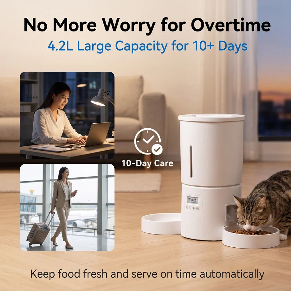 Automatic Pet Feeder, 4L Double-Bowl Plastic Design, Charge-Powered Button Feeder in White or Black for Cats and Dogs - product view 4