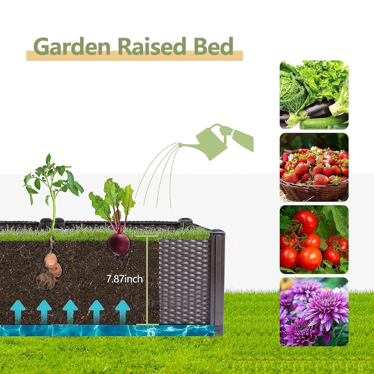 self watering planter insert - product view 4