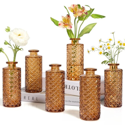 Modern Glass Bud Vase Set, Colored Tabletop Flower Bottles for Hydroponic Display, 5- or 6-Piece Options - product view 1